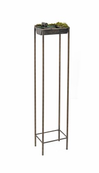 Zsemlye Ildikó (1969): Bronz tál mohával, 2003