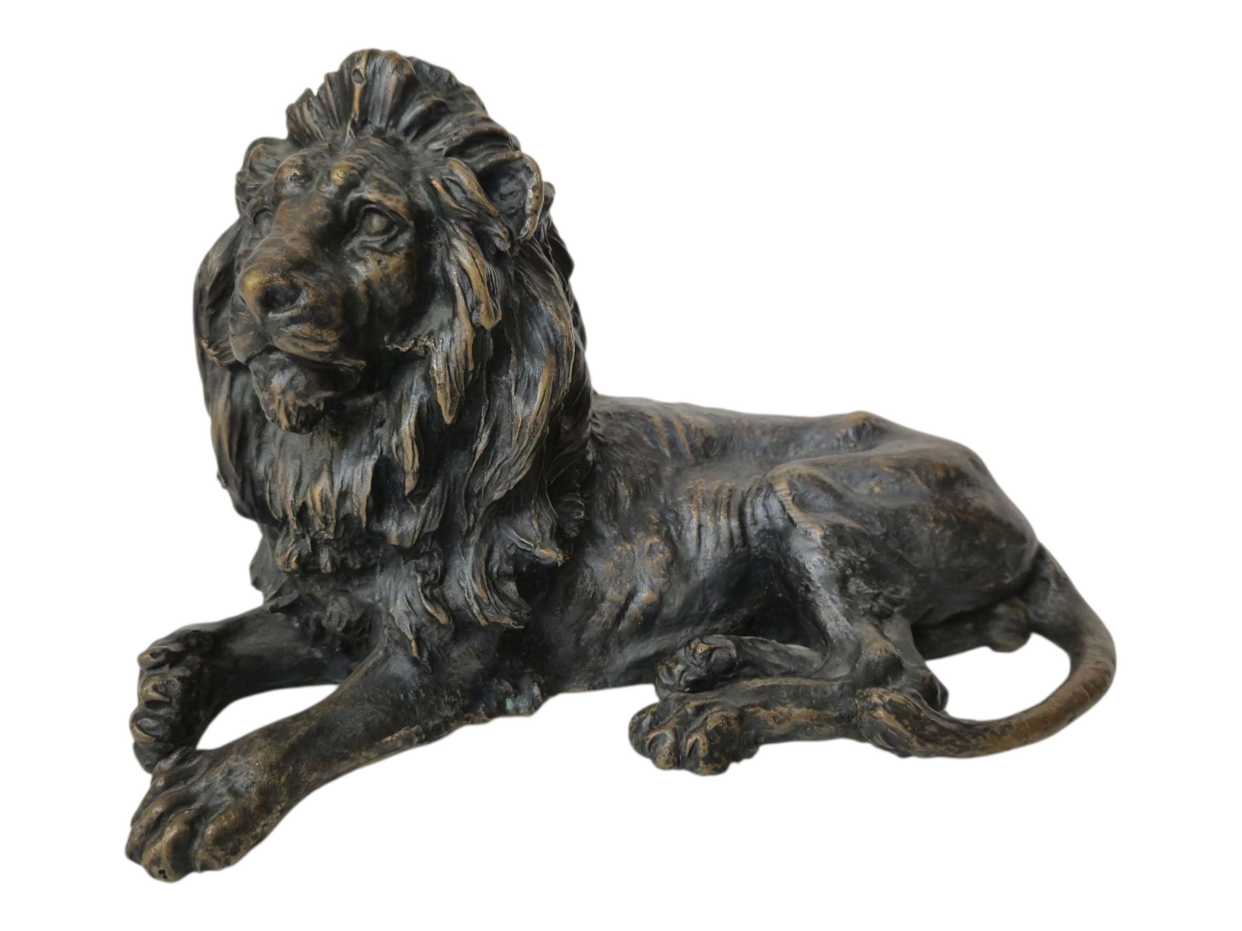 Photoroom-20251119_154127_19