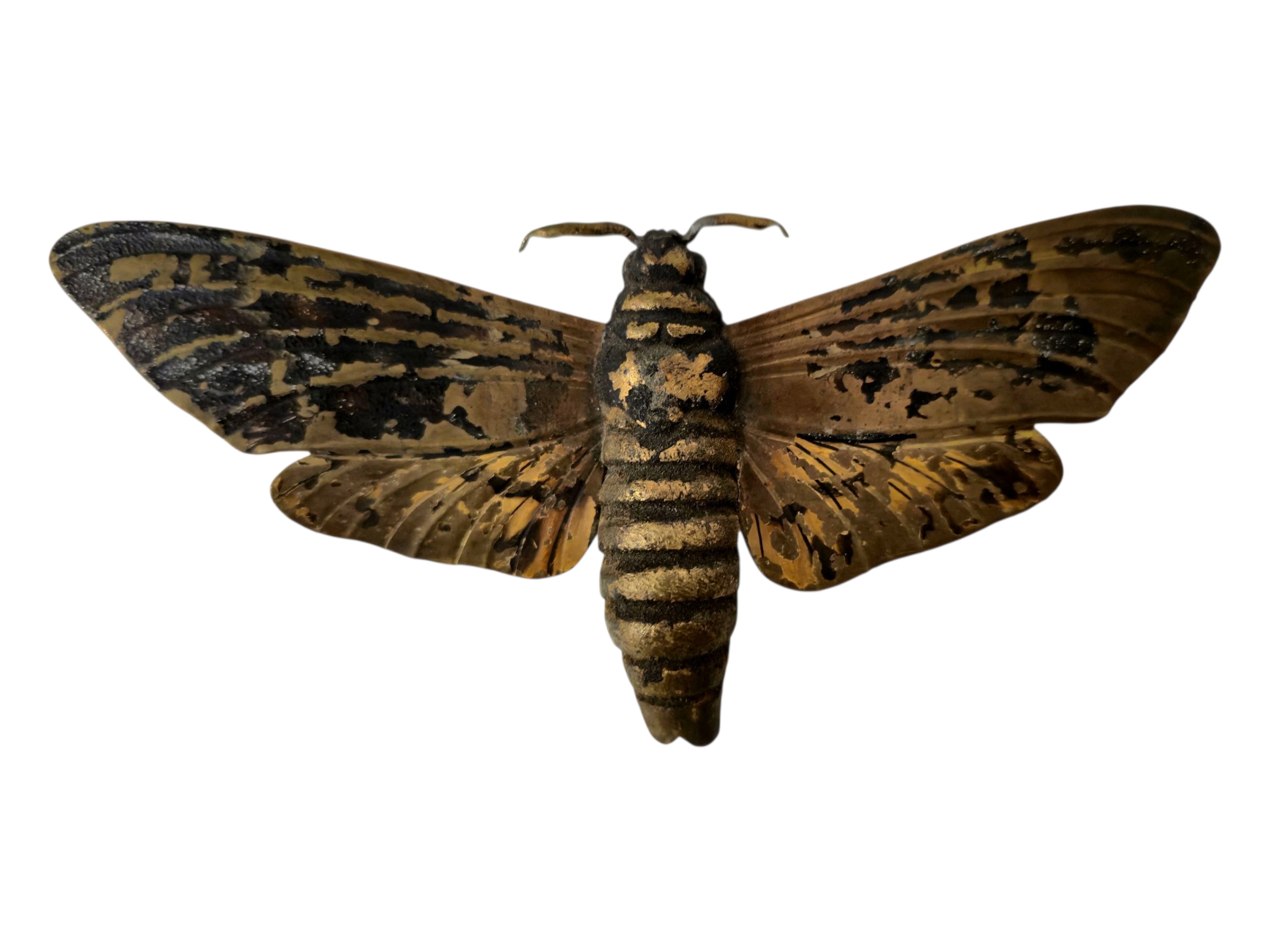 Photoroom-20251119_154127_7